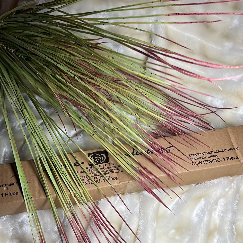NEW! Home Interiors Red-tipped Spider Bush